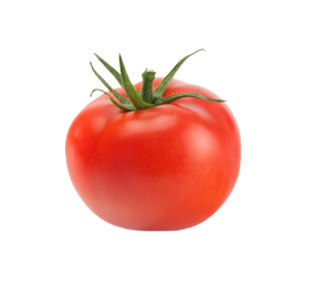 Tomato Truss - Each