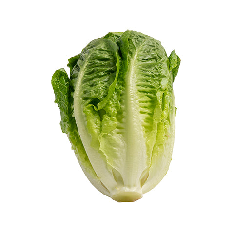 Lettuce Baby Cos - Each