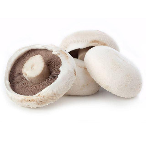 Mushroom Field 120g - Each