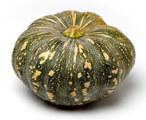 Pumpkin Jap (Kent) - Each