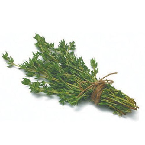 Thyme - Bunch