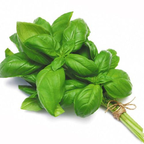 Basil - Bunch