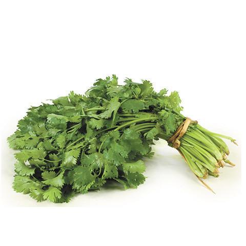 Coriander - Bunch