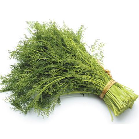 Dill - Bunch