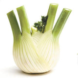 Fennel - Each