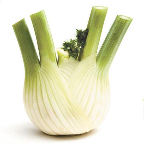 Fennel - Each