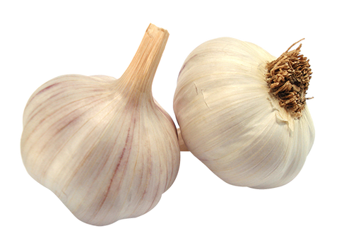 Garlic Fresh  - Each