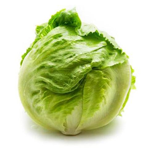 Lettuce Iceberg - Each