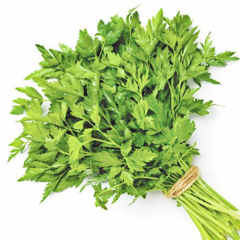 Parsley Continental - Bunch