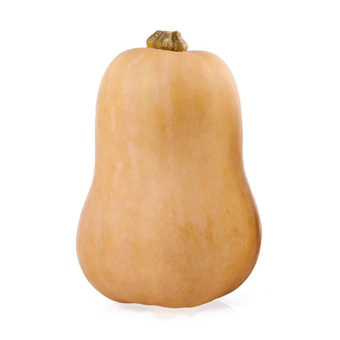 Pumpkin Butternut - Each
