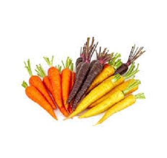 Carrot Dutch Colour - Bunch