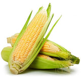 Sweet Corn - Each