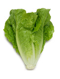 Lettuce Cos - Each