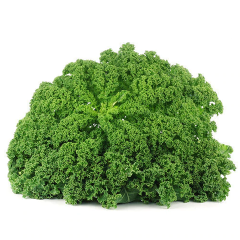 Kale - Bunch
