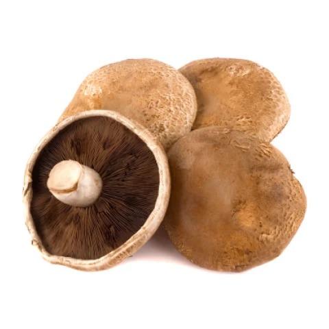 Mushroom Portobello 120g - Each